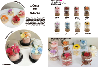 Dôme de Fleurs collection