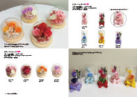 Dôme de Fleurs collection