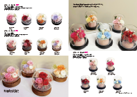 Dôme de Fleurs collection