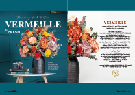 VERMEILLE collection