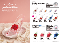 Preserved collection by VERMEILLE