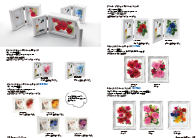 Preserved collection by VERMEILLE