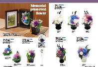 Memorial preserved flower collection