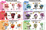 Colorful flower ranking