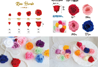 VERMEILLE collection