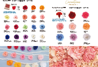 VERMEILLE collection