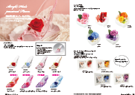 Preserved collection by VERMEILLE