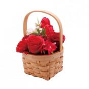 ハニー・バスケット　レッド