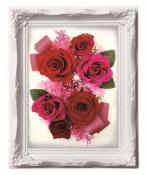 ルネッサンスフレーム　M　レッド