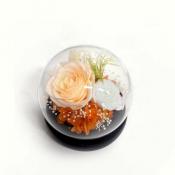 グラス・ド・エクラン　●オレンジ●