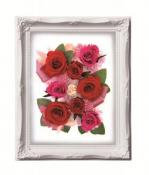 ルネッサンスフレーム　Lサイズ　レッド