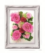 ルネッサンスフレーム　L　ピンク