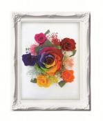 ルネッサンスフレーム　L　レインボー