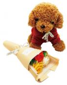 トイプードル&ブーケ　◆オレンジ◆