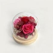 グラス・ド・スフェール　●レッド●