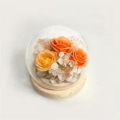 グラス・ド・スフェール　●オレンジ●