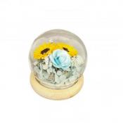 グラス・ド・スフェール・ヒマワリ　●ブルー●