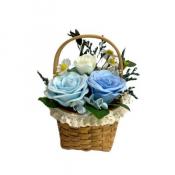 シャンペトル・アン・パニエ ●ブルー●