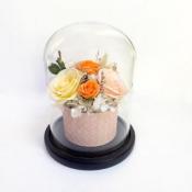 グラス・ド・エテネル ●オレンジ●