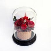 グラス・ド・エテネル ●レッド●