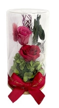 グラス・ド・シランドル　●レッド●