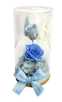 グラス・ド・シランドル　●ブルー●