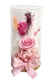 グラス・ド・シランドル　●ピンク●