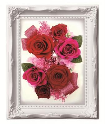 ルネッサンスフレーム　M　レッド