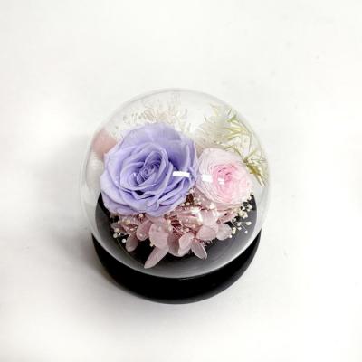 グラス・ド・エクラン　●ラベンダー●