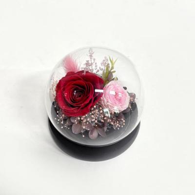 グラス・ド・エクラン　●レッド●