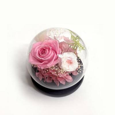 グラス・ド・エクラン　●ピンク●