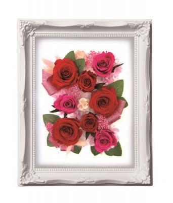 ルネッサンスフレーム　Lサイズ　レッド