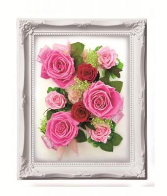 ルネッサンスフレーム　L　ピンク