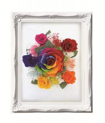 ルネッサンスフレーム　L　レインボー