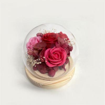 グラス・ド・スフェール　●レッド●