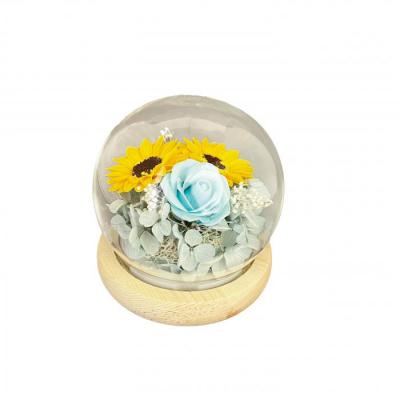 グラス・ド・スフェール・ヒマワリ　●ブルー●