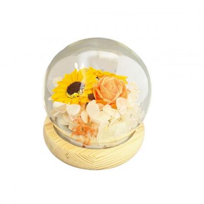 グラス・ド・スフェール・ヒマワリ　●オレンジ●